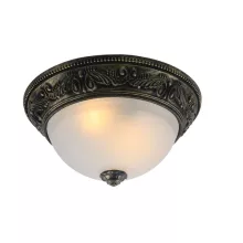 Потолочный светильник Arte Lamp Piatti A8010PL-2AB купить недорого в Крыму