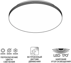 Citilux CL71424SV Потолочный светильник 