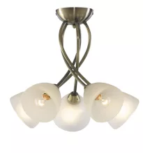 Потолочная люстра Arte Lamp Nikki A2576PL-5AB купить недорого в Крыму