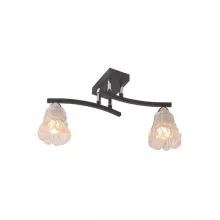 Спот IDLamp Simone 217/2PF-Blackchrome купить недорого в Крыму