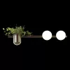 Бра Odeon Light Flower 4681/2W в Крыму - фото с прозрачным фоном (миниатюра)