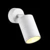 Спот Odeon Light Corsus 4208/1C в Крыму - фото с прозрачным фоном (миниатюра)