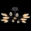 Потолочная люстра Odeon Light Gardena 3903/84CL в Крыму - фото с прозрачным фоном (миниатюра)