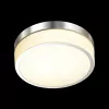 Настенно-потолочный светильник Odeon Light Rima 4680/12CL в Крыму - фото с прозрачным фоном (миниатюра)