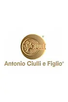 Antonio Ciulli